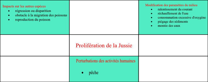 prolifration de la Jussie