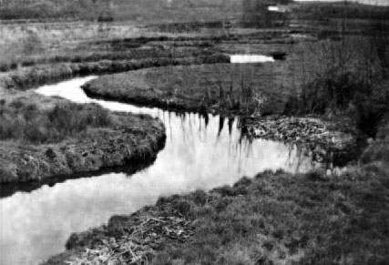 Les m�andres de l'ildut