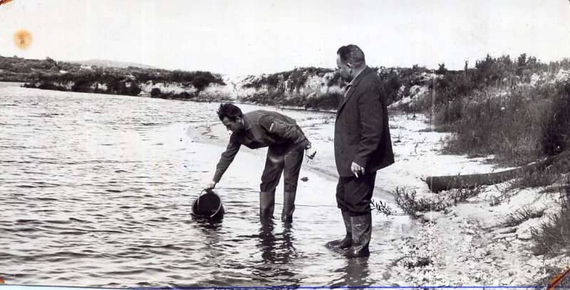 un plan d'eau � Saint-Renan