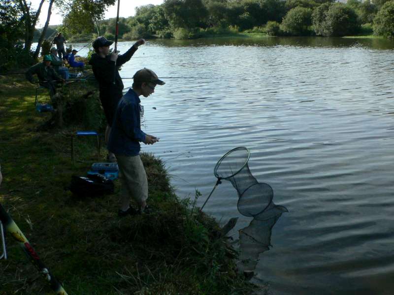 La bourriche se remplit.