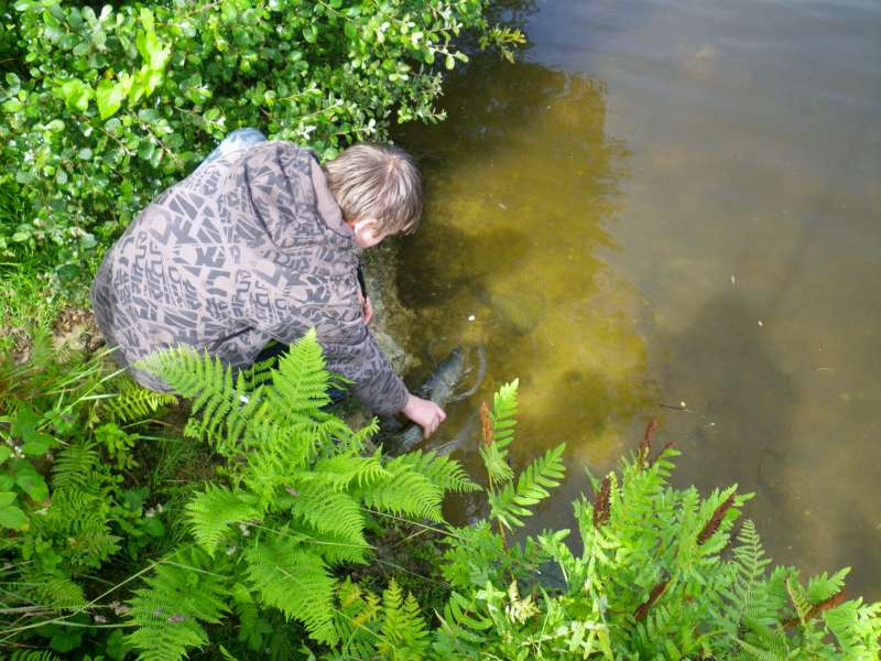 La libert� pour ce brochet.