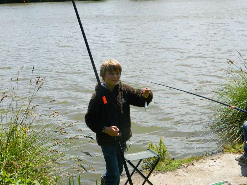 un gardon par grand vent.