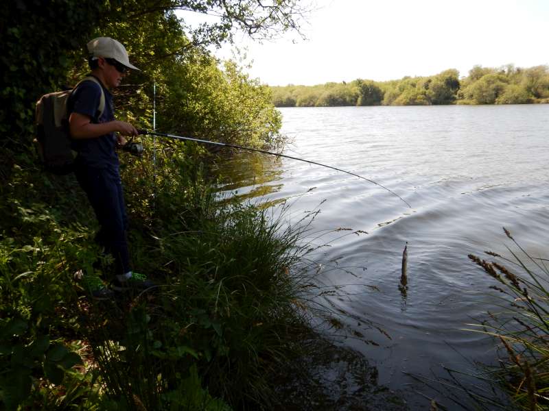 Mon premier brochet!