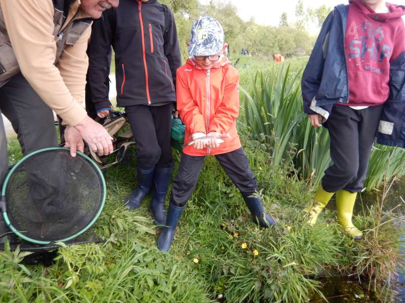 Cette fois, c'est le poisson qui a gagn�..