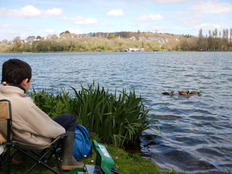 On ne va pas rester l�, m�me les cols-verts luttent contre le vent!