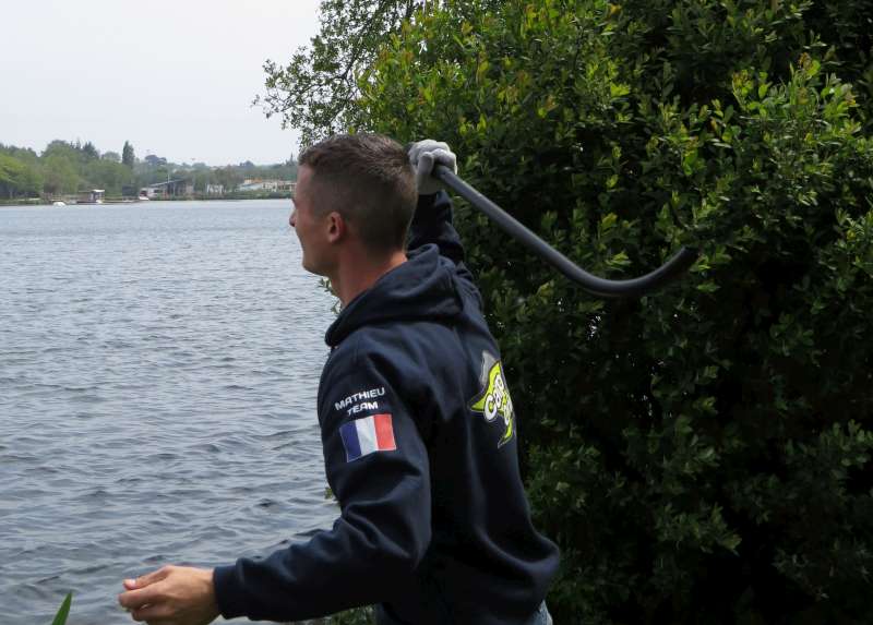 Mathieu amorce au cobra