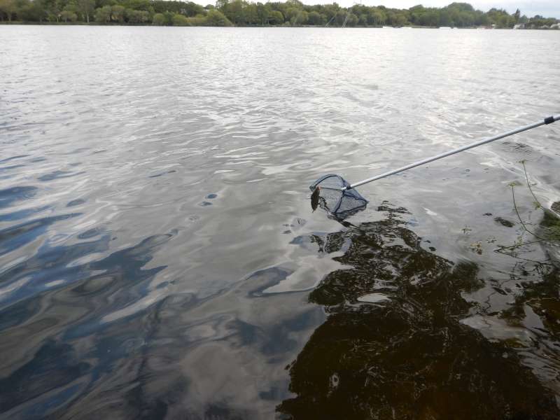 Et hop! A l'�puisette!