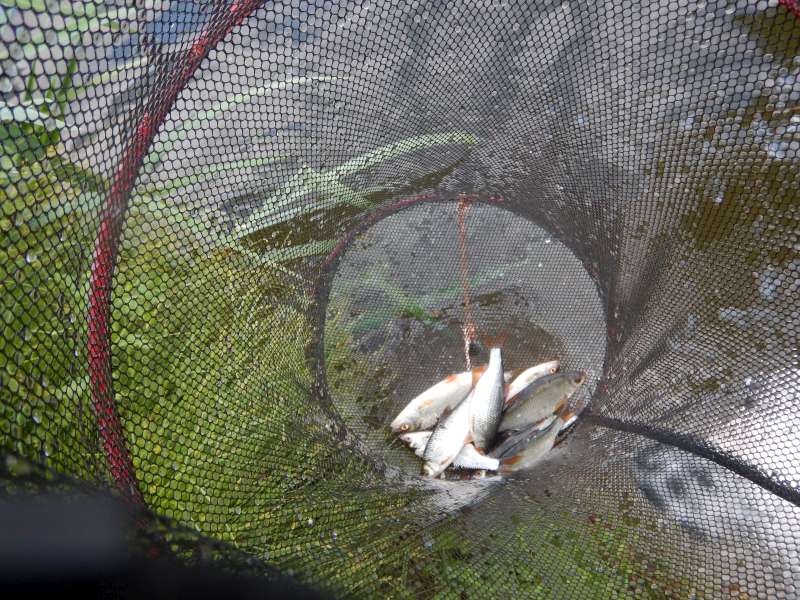 Jolie p�che, bravo les champions!