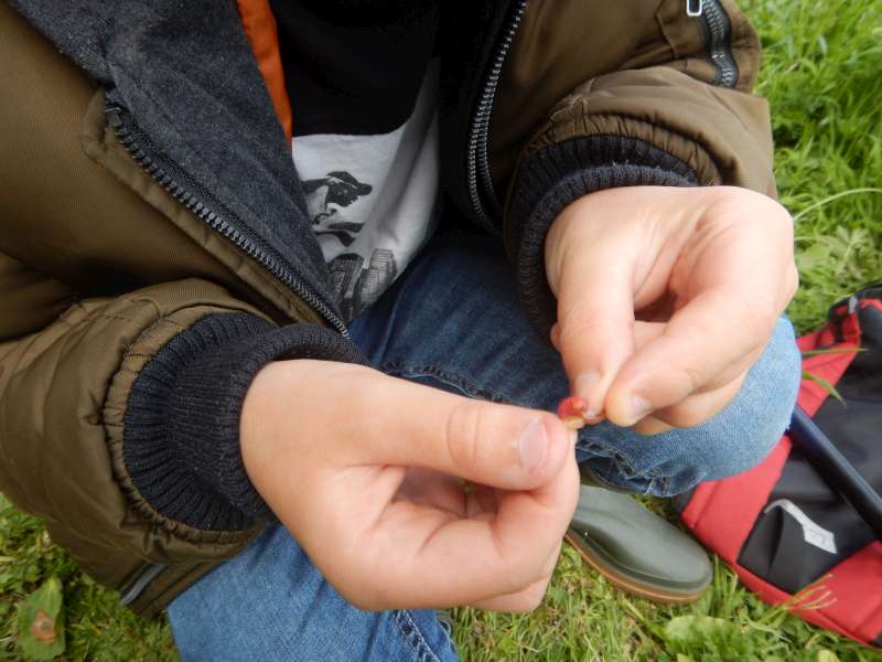 Un asticot rouge, et un blanc... il faut du choix!