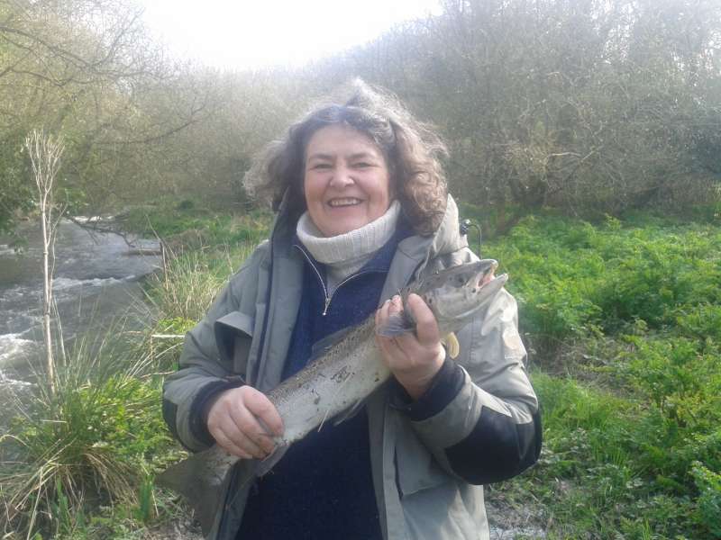 Saumon atlantique Le chaneu