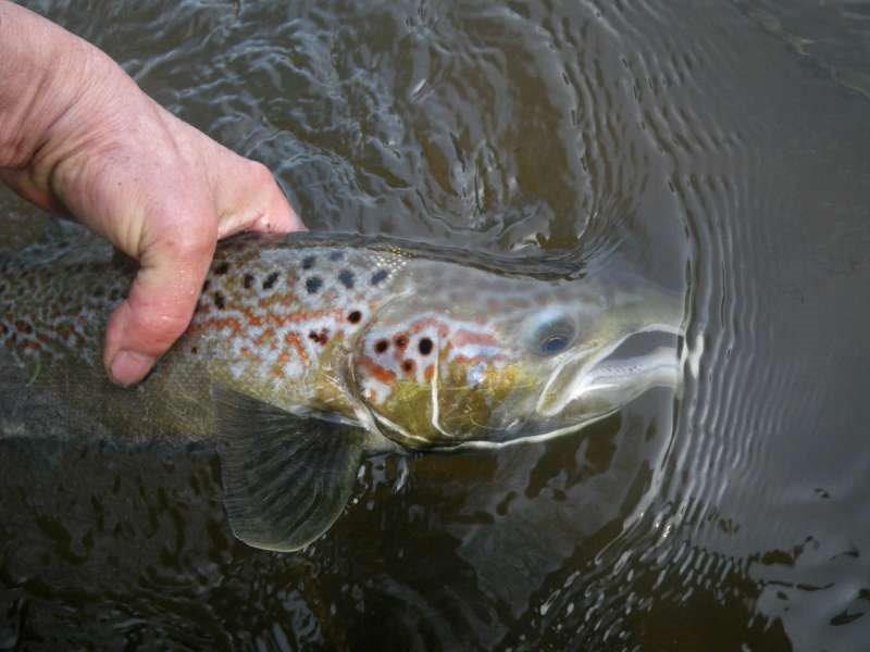 Becard, Ildut, jour de l'ouverture. Vers le Vizac