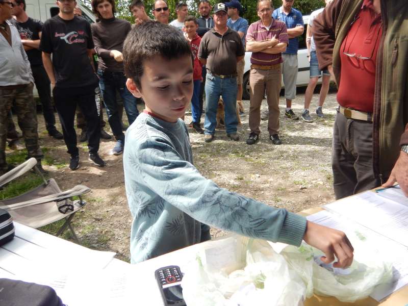 Une main innocente proc�de au tirage au sort