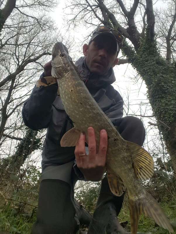 72 cm pour ce poisson