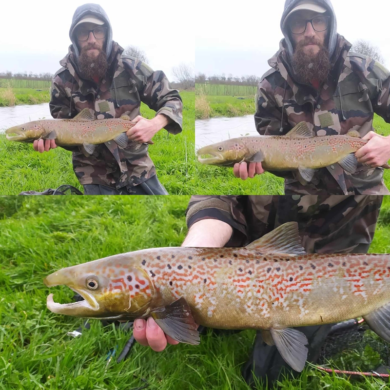 Belle livr�e pour ce saumon de 67 cm!