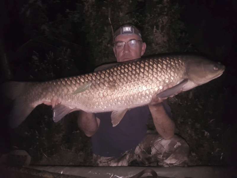 Ctenopharyngodon idella