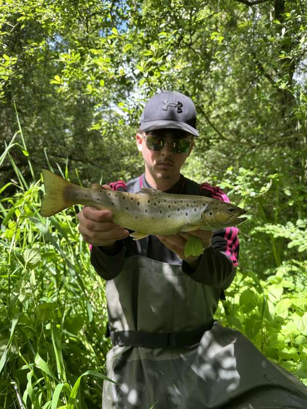 40 cm