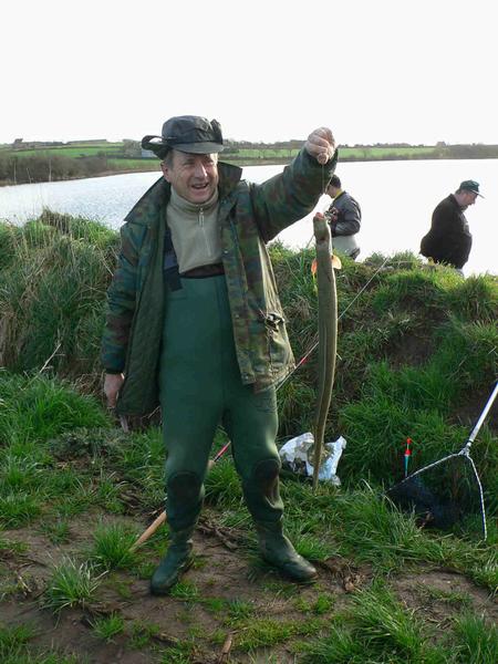 TAnguille � Lann�on