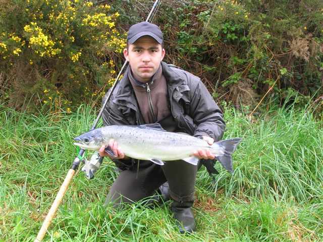 Saumon par Jean Michel