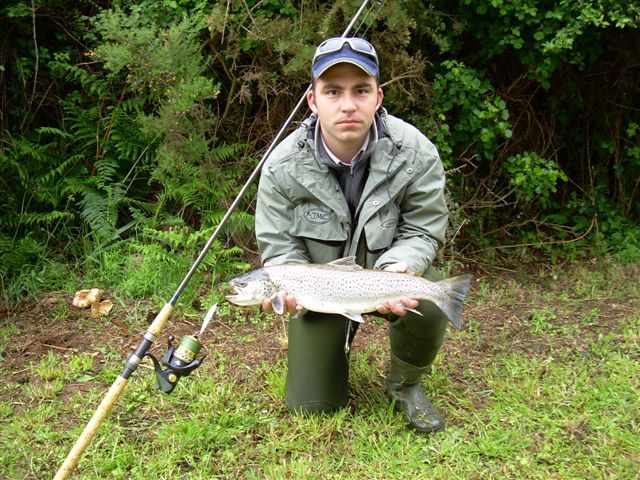 Truite de Mer par Jean Michel