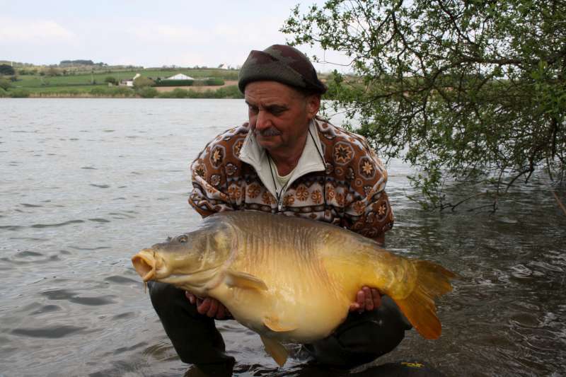 Carpe Cuir par G�rard