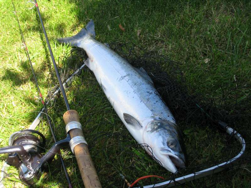 Castillon par G�rard B.