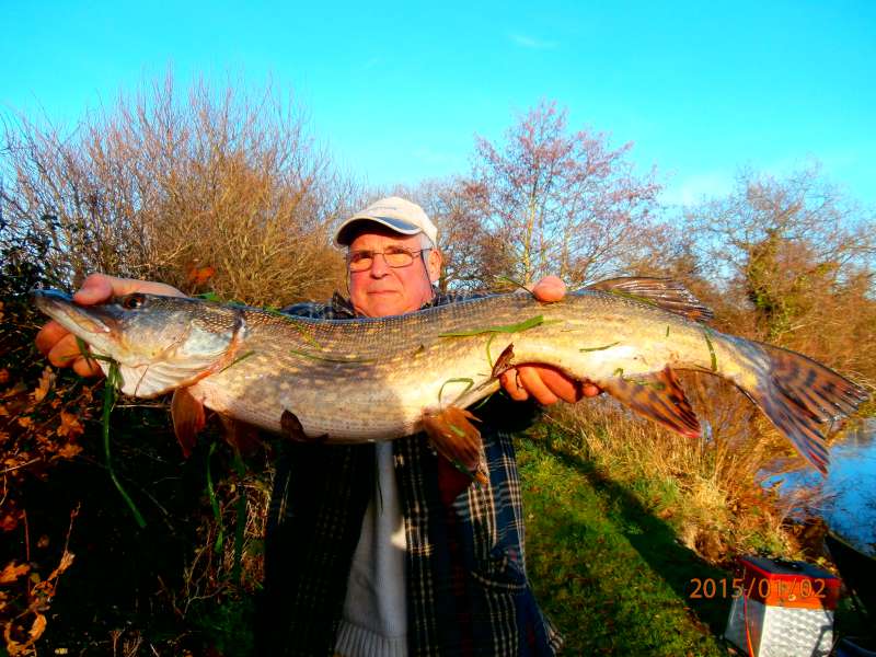 Brochet, Alain � Poulinoc