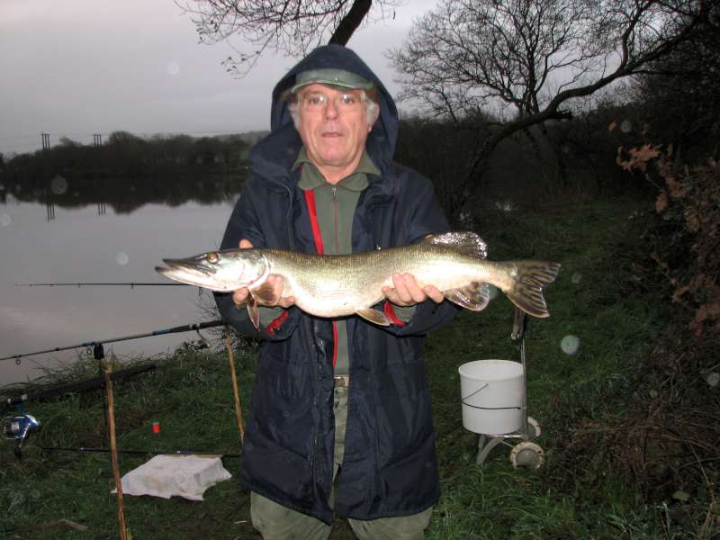 Brochet, Guy � Poulinoc