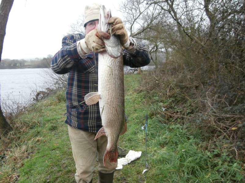 Brochet, Alain � Poulinoc
