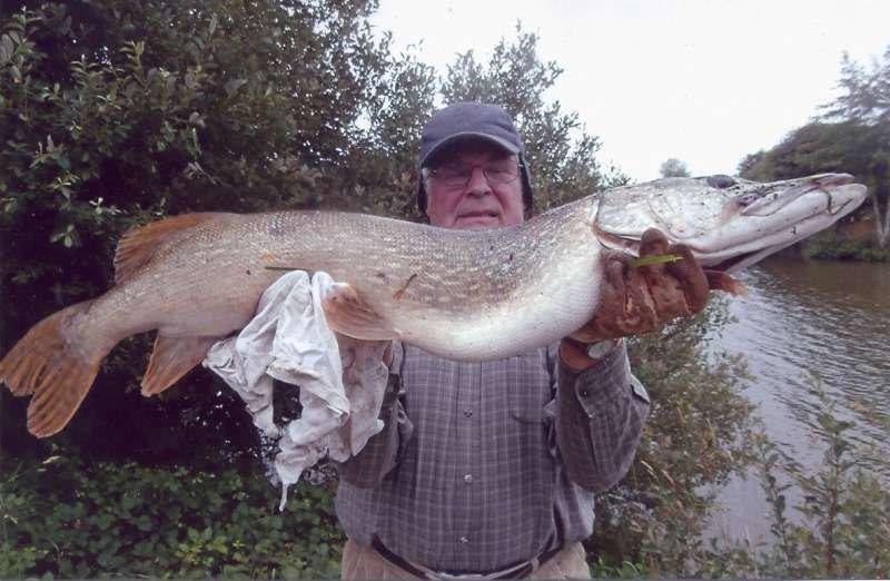 Brochet, � Poulinoc, par Alain