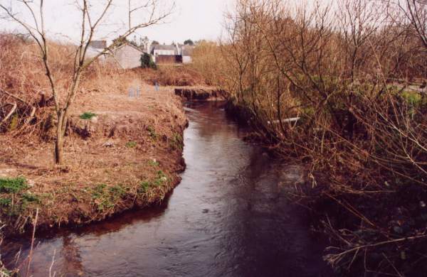 Revalorisation de la berge