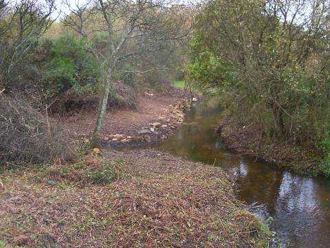 Nettoyage des berges.