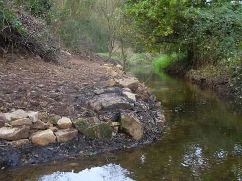 l'embranchement nettoy�