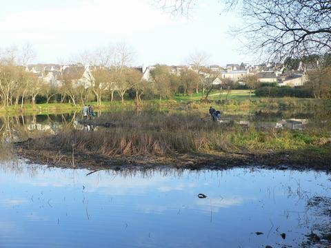 Nettoyage depuis la berge.