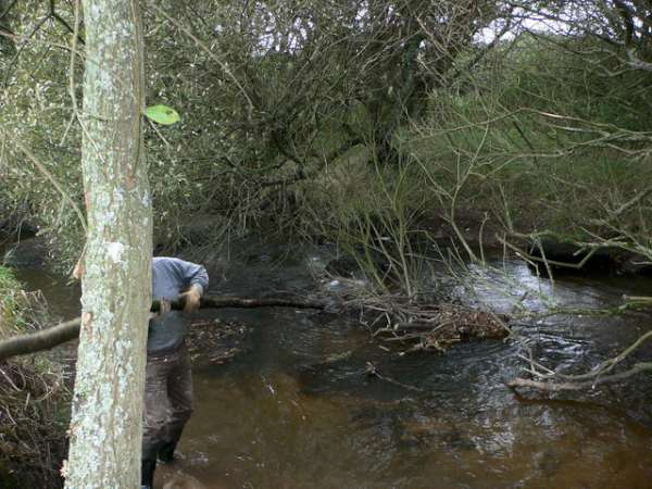 Etat des lieux : rivi�re encombr�e.