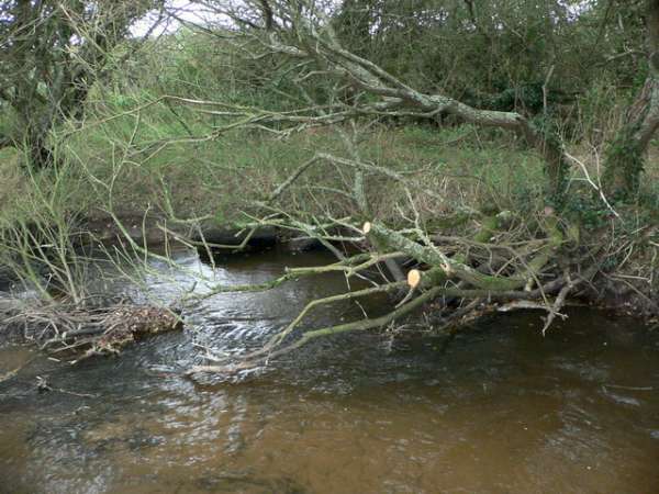 Assainissement en cours.