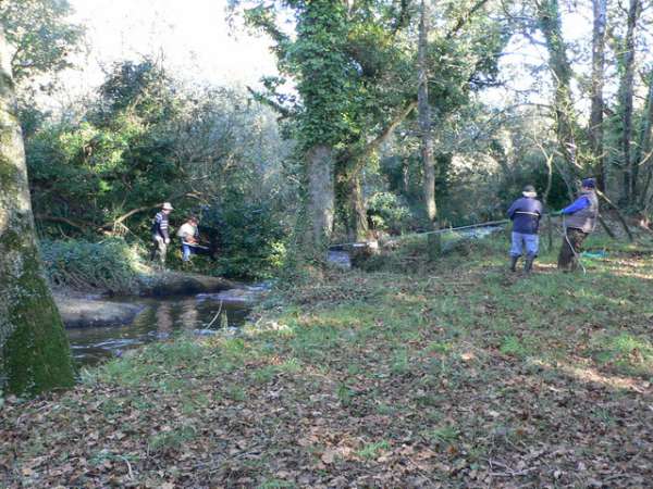 Les for�ats lib�rent la place.