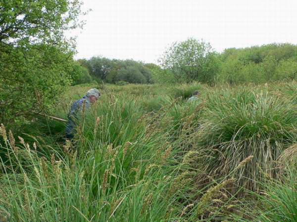 Le ruisseau de Kerlody.