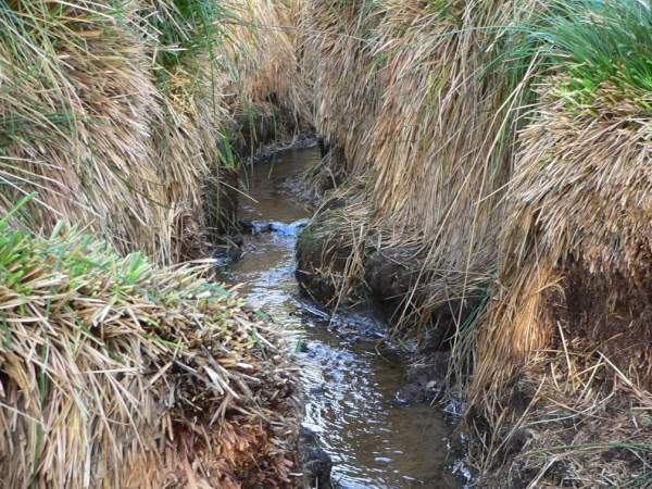 Le ruisseau de Kerlody respire un peu.