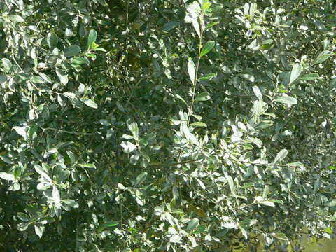 La rivière inaccessible.. La rivière inaccessible..