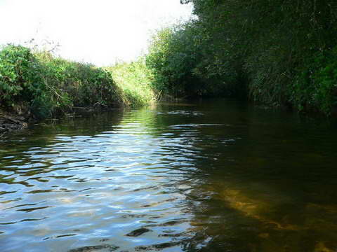 La rivière propre La rivière propre