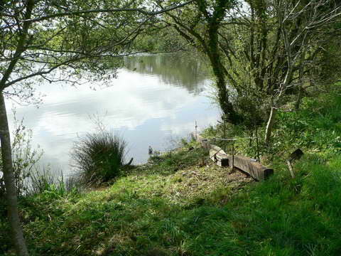 Début du chantier.. Début du chantier..