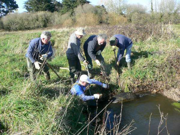 une surprise sous le pont.