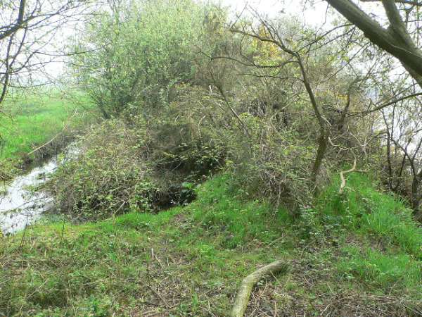 la digue entre la rivi�re et le plan d'eau.