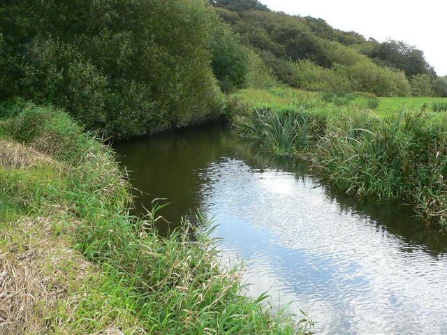 L'Ildut sous les saules.