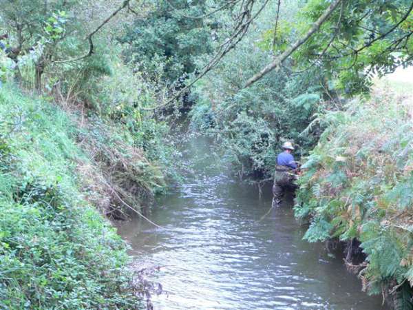 Le long de Lann�on.