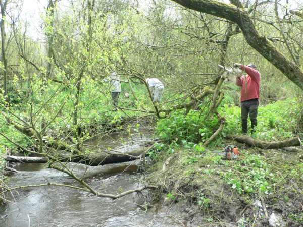 Pr�paration d'un acc�s.