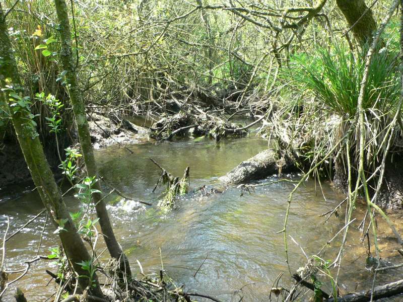 La rivi�re est bouch�e.