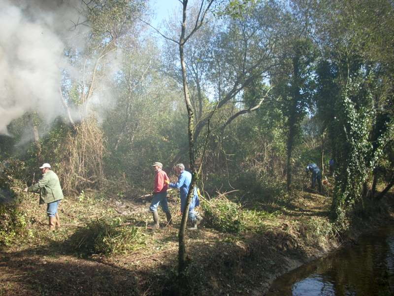 Nettoyage de la berge.