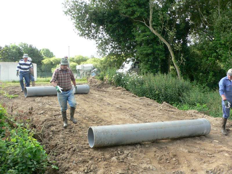 transport des buses.