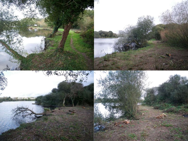 nettoyage des berges.